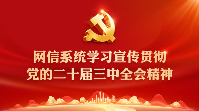 网信系统学习宣传贯彻党的二十届三中全会精神