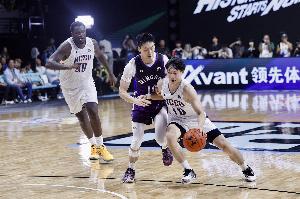 球帝直播_球帝免费高清直播观看_球帝直播无插件