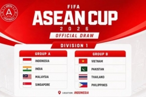 首届FIFA东南亚杯分组:印尼、马来西亚同组,越南、泰国同组